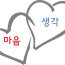 용인대삼일태권도 이미지