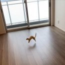 행복한구이세상