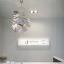 케이스텔라 | 대구 드레스투어 후기 | 김은정, 지니케이, 스텔라 3곳 비교 &amp; 꿀팁🍯