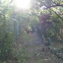 고지소류지 이미지