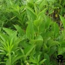 장속농장 이미지