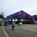 2025 청양 고추 구기자 축제(제26회) 이미지