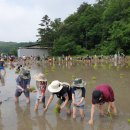 일놀이공부학교 이미지