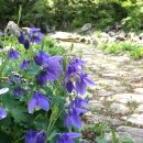 큰골민박 이미지