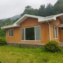 주식회사다미원 네이버블로그