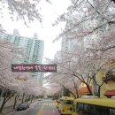 양성초교병설유치원 네이버블로그