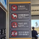 대포해안 | 제주도 가볼 만한 곳 제주 중문 대포해안 주상절리대