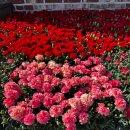 구이노인복지센터 이미지