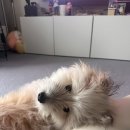 오순독순 이미지