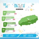 문화가있는날 이미지