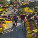 임실치즈축제에 다녀왔습니다 이미지