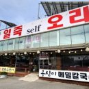 일죽셀프오리 이미지