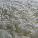 누룩과알콜 이미지