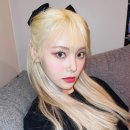 진솔투어