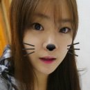 라임스킨앤바디
