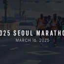 씨 라이프 이미지