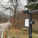 수덕사 진입로 네이버블로그