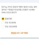 필항공여행사