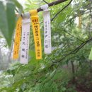 망월산 정상 이미지