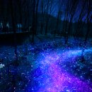 야간도심테마 이미지