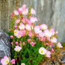 힐타운 공인중개사사무소 이미지