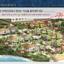 돌꽃(stoneflower) Daum카페