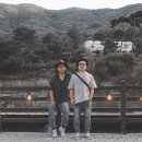 무궁화수목원 이미지