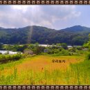 산촌개발민박 티스토리
