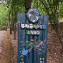 봉학골산림욕장 | 충북 음성 봉학골 산림욕장 전망대와 정원 용산저수지 산책