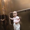 14개월 아기 남대문 아동복 26 여름 신상 사이즈 및 착용샷 후기 (아오스타, 블랙빈, 소이빈)