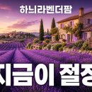 석호농원 | 결국 이 계절에 고성 가야 하는 진짜 이유...