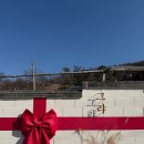 스테이그랴 이미지