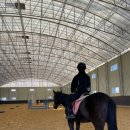 부산국제승마장 이미지