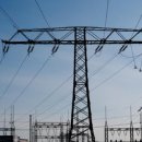 신장농장 이미지