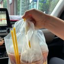 헤비베어 별내 이미지