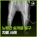 해오름동물병원 이미지