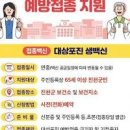 대상포진 예방접종 지원 종류 전조 이미지