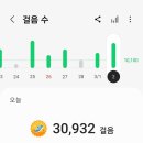 용문산 은행나무길(물소리길 6코스) 이미지