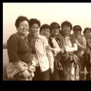 양대초등학교 이미지