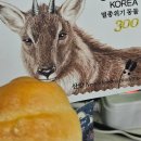 [한달회고] 2월 결산