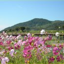 장성공원3 이미지