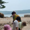 정화농장 이미지