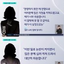 보배다방 이미지