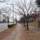 넙뒤공원 이미지