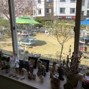 별별하우스 | 카페24 손잡은 이스타항공, '별별스토어'로 여행 라이프스타일 시장 공략 | 읽어야 할 배경