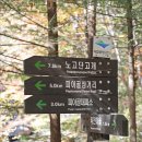 피아골 단풍공원 이미지