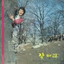 말 전해다오 / 장미리 (i) 이미지