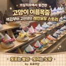 뽑기이야기 | 가낳지모 후기｜NEKKO&amp;TORO 뽑기 간식부터 레인보우 스토리 고양이 이름목줄까지