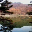 삼기 이미지