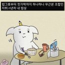 미랑다방
